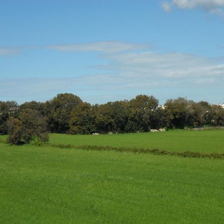 Masseria Gattamora Uggiano La Chiesa Ngoại thất bức ảnh